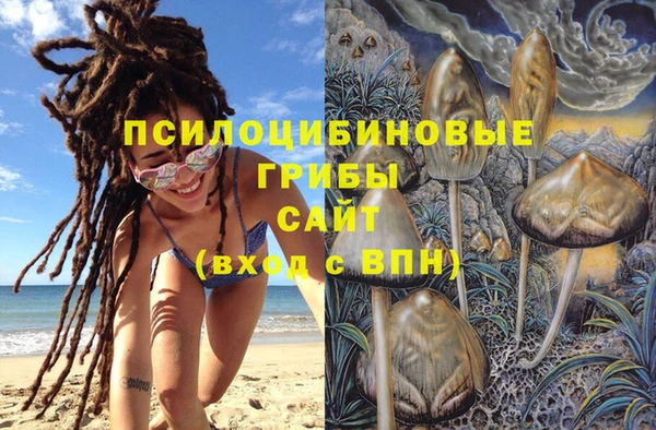 гидра Нефтегорск